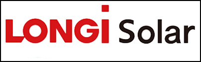 Deafult Logo Size Template Longi.jpg